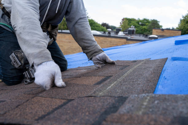Quick and Trustworthy Emergency Roof Repair Services in Roosevelt Park, MI
