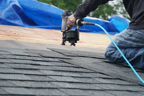 Best New Roof Installation  in Roosevelt Park, MI
