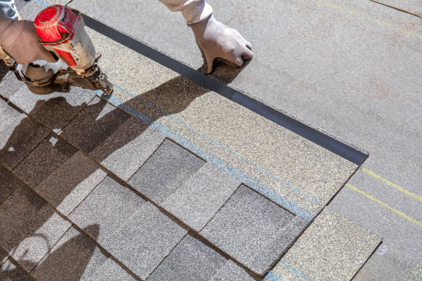Best Metal Roofing Contractor  in Roosevelt Park, MI