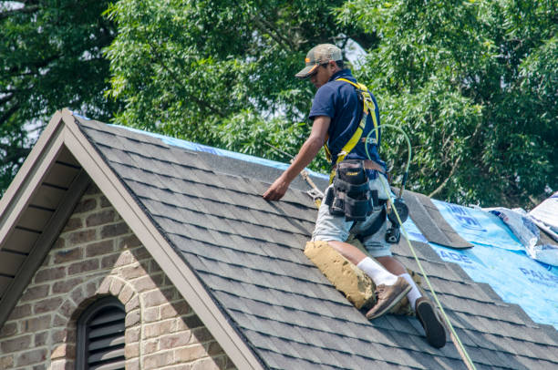 Best Roof Replacement Cost  in Roosevelt Park, MI