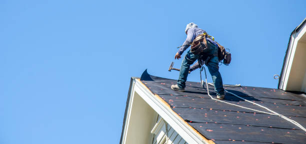 Best New Roof Installation  in Roosevelt Park, MI